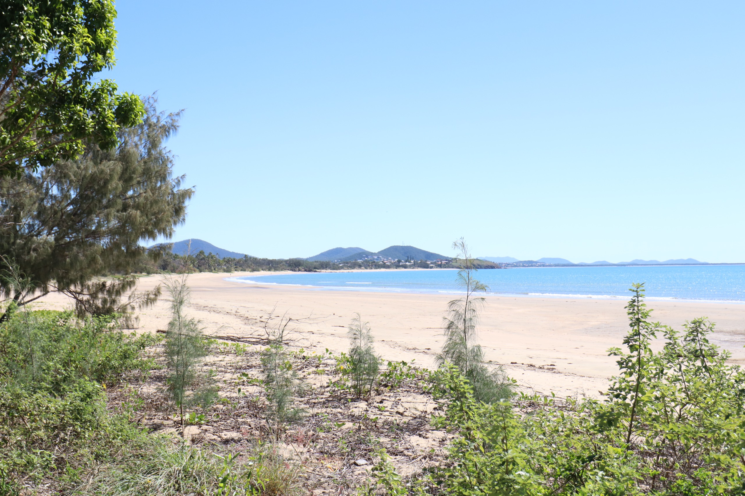 Southern Lammermoor Beach Facilities Survey Get Involved Livingstone
