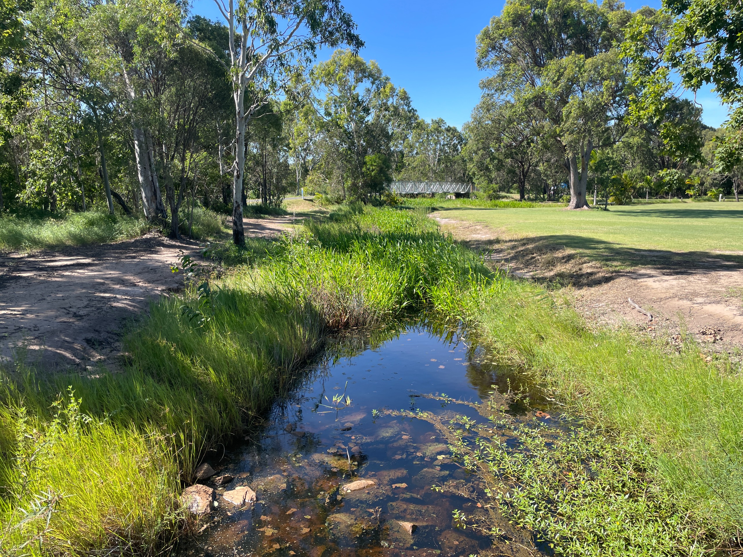 A photo of the creek which shows the poor water quality