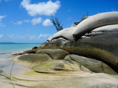 A photo showing the sandbags at low tide showing how much they have shifted. 