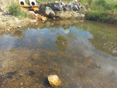 Current state of water quality on site. 