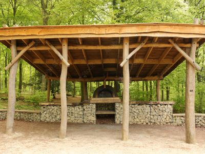 Outdoor Community Pizza Oven 